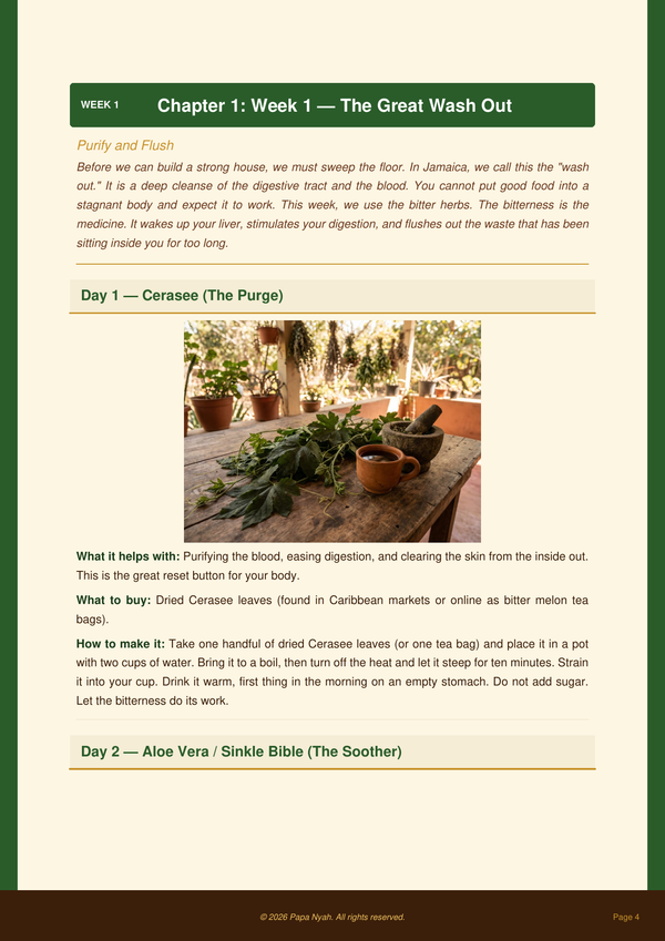 Day 1 Cerasee page from The 30-Day Jamaican Reset