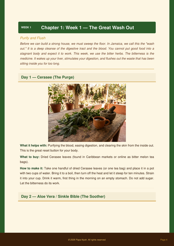 Actual Day 1 Cerasee page from The 30-Day Jamaican Reset