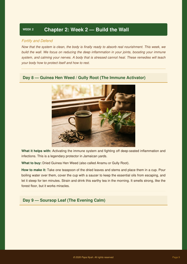 Week 2 Build the Wall page from The 30-Day Jamaican Reset