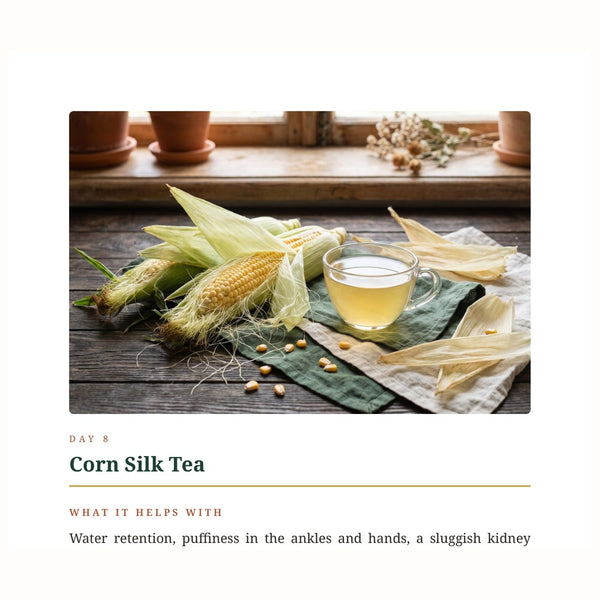 Actual Day 8 Corn Silk Tea page excerpt from Drain and Deepen ebook