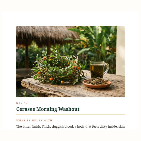 Actual Day 14 Cerasee Morning Washout page excerpt from Drain and Deepen ebook