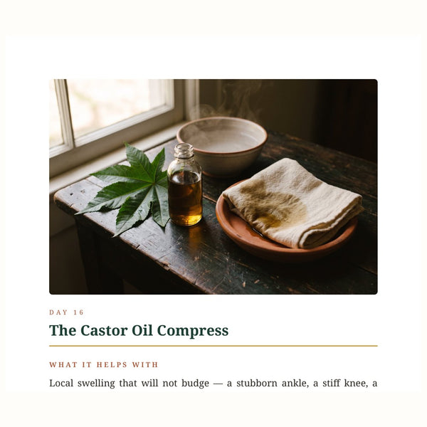 Actual Day 16 The Castor Oil Compress page excerpt from Drain and Deepen ebook