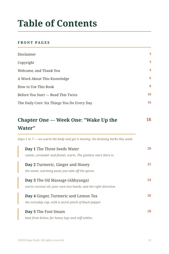 Actual ebook contents showing the Drain and Deepen 30-day program