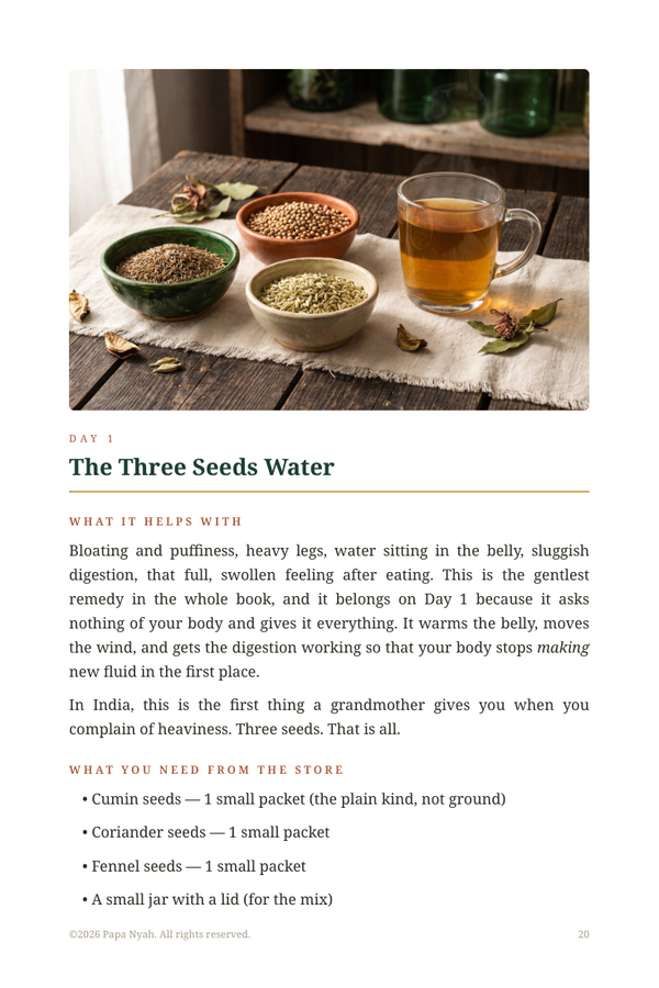 Preview of Day 1 The Three Seeds Water remedy from the Drain and Deepen ebook