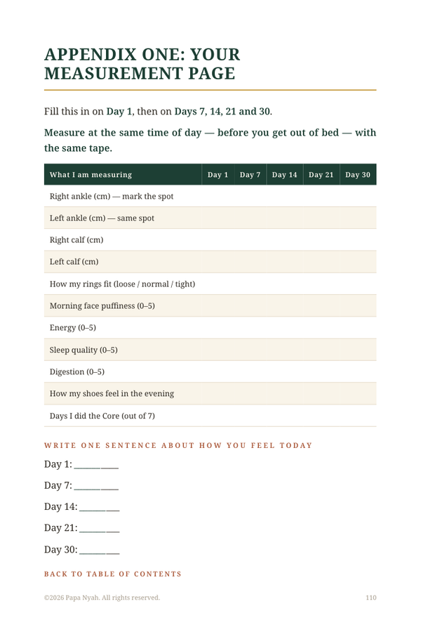 Preview of the 30 day personal tracking worksheet from the Drain and Deepen ebook